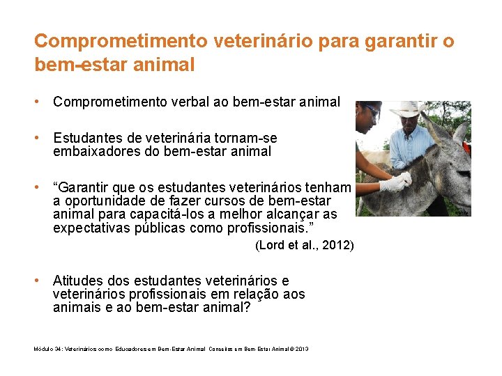 Comprometimento veterinário para garantir o bem-estar animal • Comprometimento verbal ao bem-estar animal •