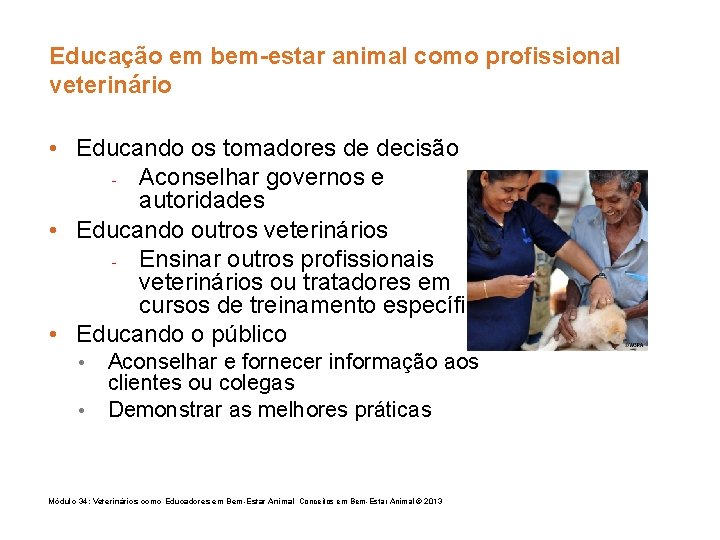 Educação em bem-estar animal como profissional veterinário • Educando os tomadores de decisão -