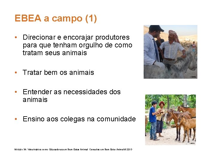 EBEA a campo (1) • Direcionar e encorajar produtores para que tenham orgulho de