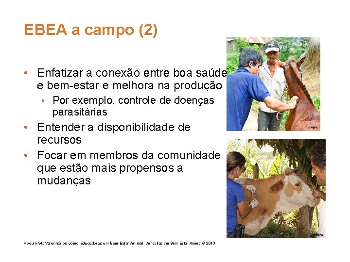 EBEA a campo (2) • Enfatizar a conexão entre boa saúde e bem-estar e