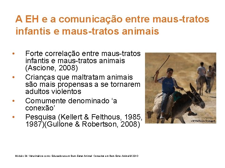 A EH e a comunicação entre maus-tratos infantis e maus-tratos animais • • Forte