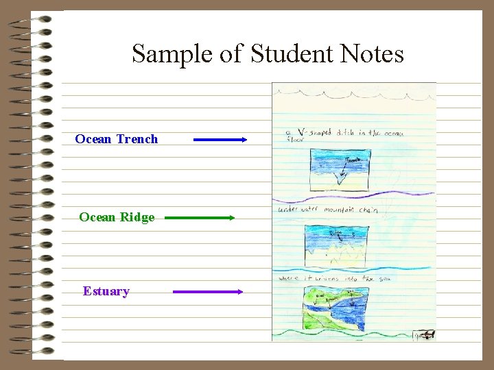 Sample of Student Notes Ocean Trench Ocean Ridge Estuary 