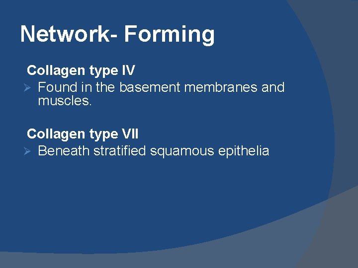 Network- Forming Collagen type IV Ø Found in the basement membranes and muscles. Collagen