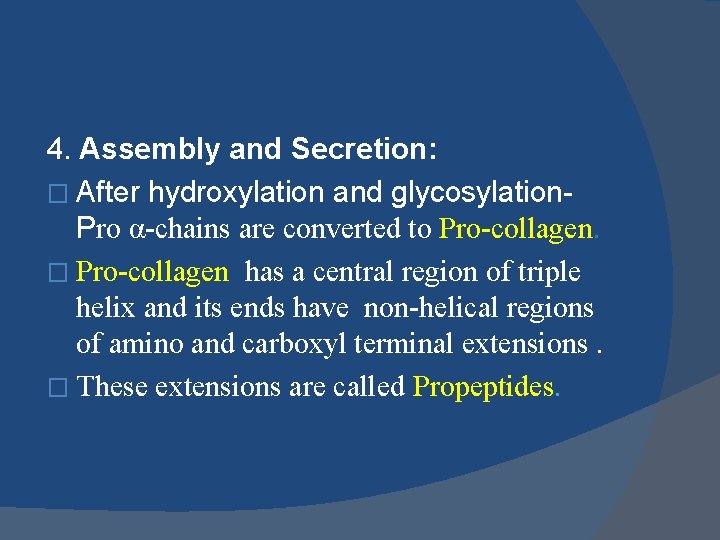 4. Assembly and Secretion: � After hydroxylation and glycosylation. Pro α-chains are converted to