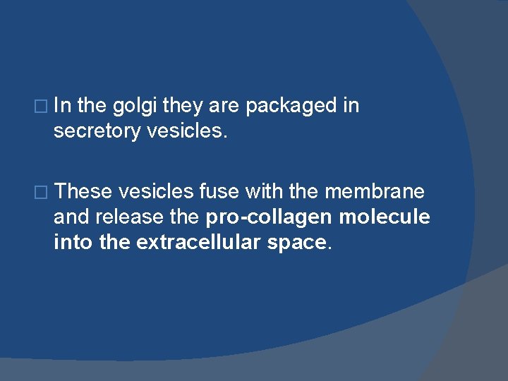 � In the golgi they are packaged in secretory vesicles. � These vesicles fuse