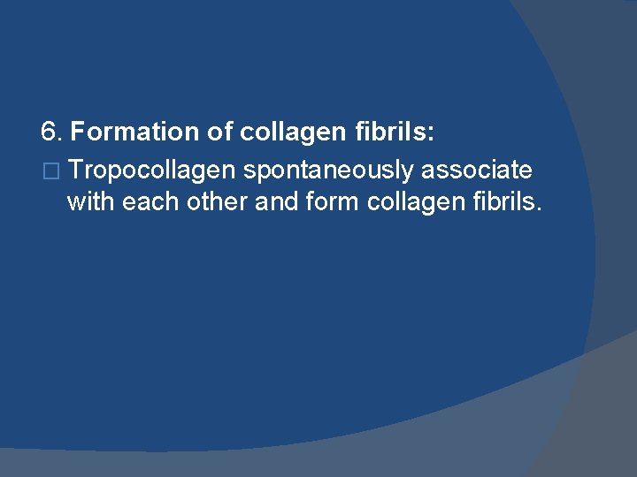 6. Formation of collagen fibrils: � Tropocollagen spontaneously associate with each other and form