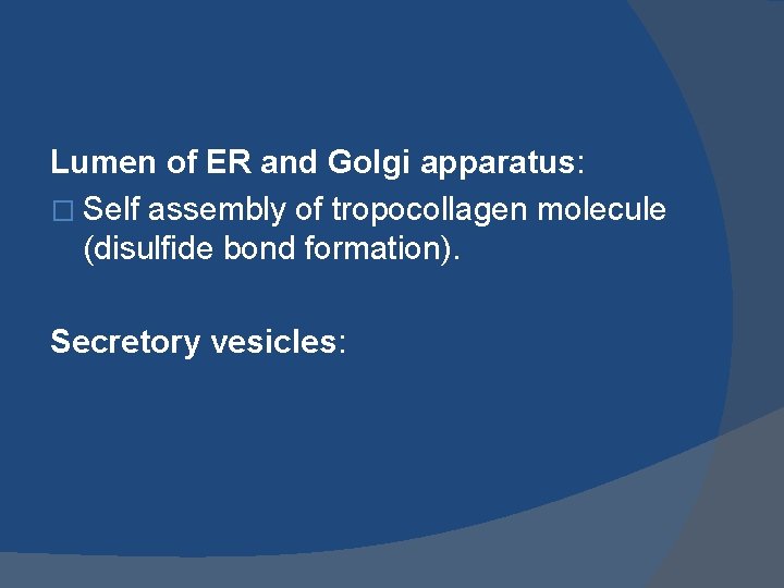 Lumen of ER and Golgi apparatus: � Self assembly of tropocollagen molecule (disulfide bond