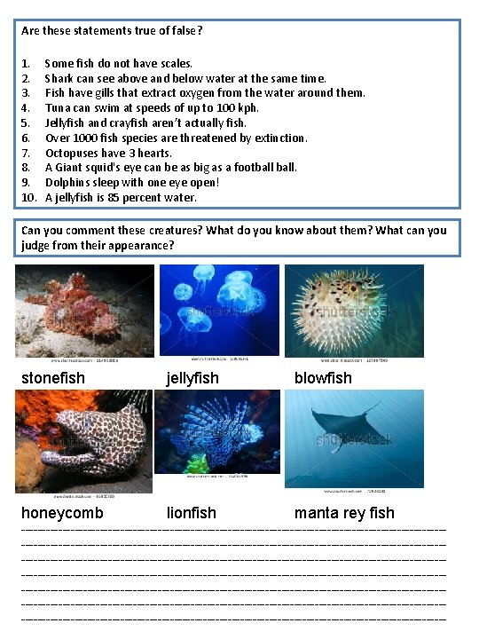 Are these statements true of false? 1. 2. 3. 4. 5. 6. 7. 8.