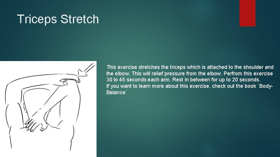 Triceps Stretch This exercise stretches the triceps which is attached to the shoulder and