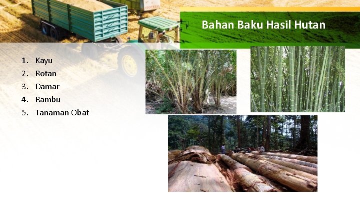 Bahan Baku Hasil Hutan 1. 2. 3. 4. 5. Kayu Rotan Damar Bambu Tanaman