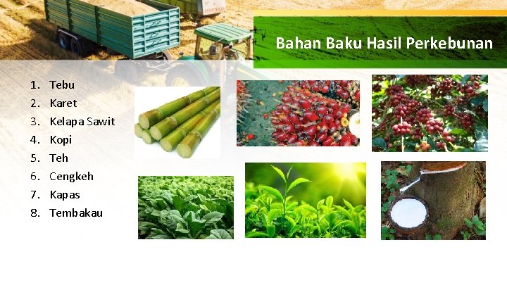 Bahan Baku Hasil Perkebunan 1. 2. 3. 4. 5. 6. 7. 8. Tebu Karet