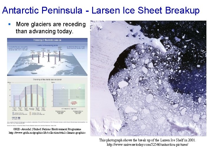 Antarctic Peninsula - Larsen Ice Sheet Breakup § More glaciers are receding than advancing