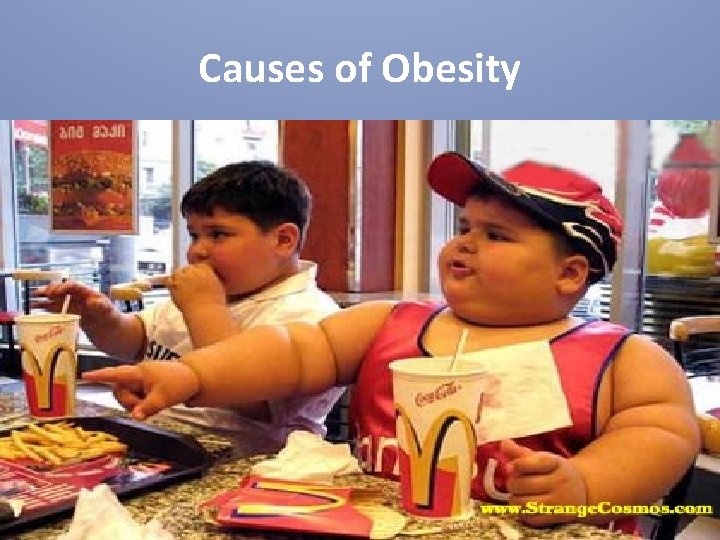 Causes of Obesity 