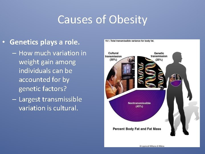 Causes of Obesity • Genetics plays a role. – How much variation in weight