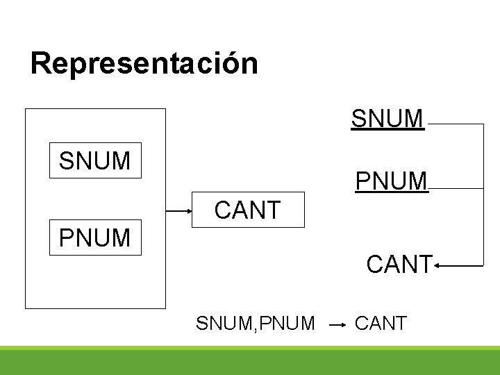 Representación SNUM PNUM CANT SNUM, PNUM CANT 