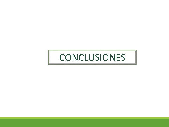 CONCLUSIONES 