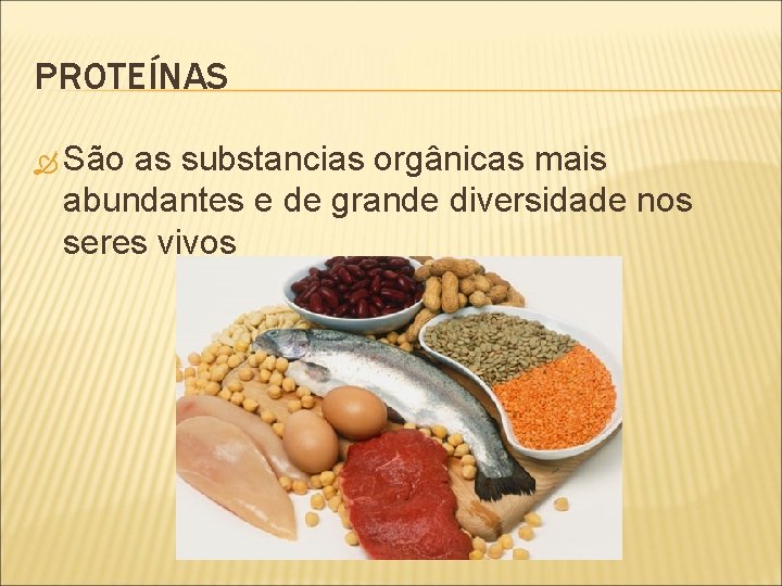 PROTEÍNAS São as substancias orgânicas mais abundantes e de grande diversidade nos seres vivos