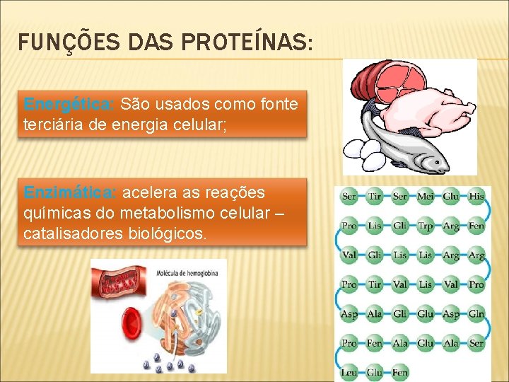 FUNÇÕES DAS PROTEÍNAS: Energética: São usados como fonte terciária de energia celular; Enzimática: acelera