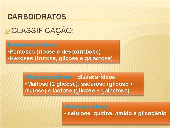 CARBOIDRATOS CLASSIFICAÇÃO: Monossacarídeos: • Pentoses (ribose e desoxirribose) • Hexoses (frutose, glicose e galactose)