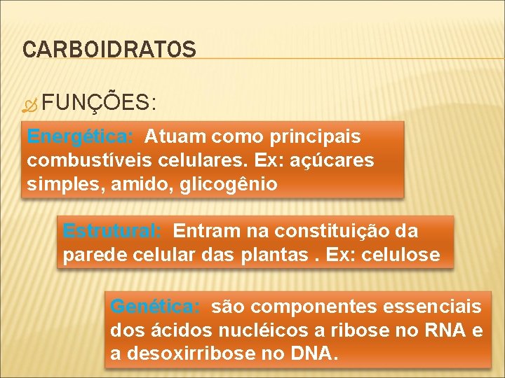 CARBOIDRATOS FUNÇÕES: Energética: Atuam como principais combustíveis celulares. Ex: açúcares simples, amido, glicogênio Estrutural: