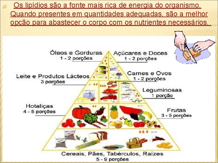  Os lipídios são a fonte mais rica de energia do organismo. Quando presentes