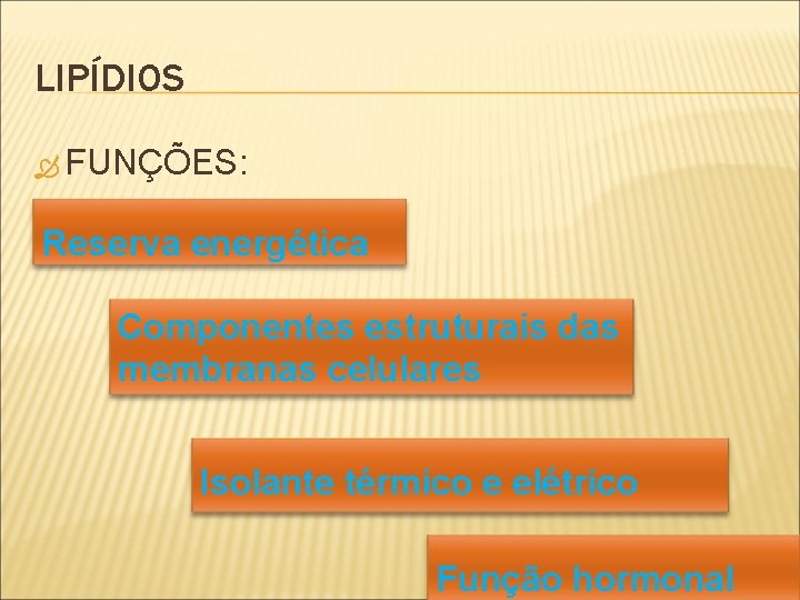 LIPÍDIOS FUNÇÕES: Reserva energética Componentes estruturais das membranas celulares Isolante térmico e elétrico Função