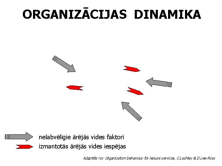 ORGANIZĀCIJAS DINAMIKA nelabvēlīgie ārējās vides faktori izmantotās ārējās vides iespējas Adaptēts no: Organization behaviour