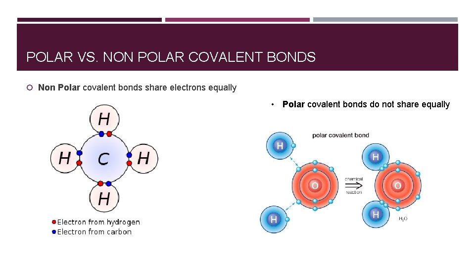 POLAR VS. NON POLAR COVALENT BONDS Non Polar covalent bonds share electrons equally •