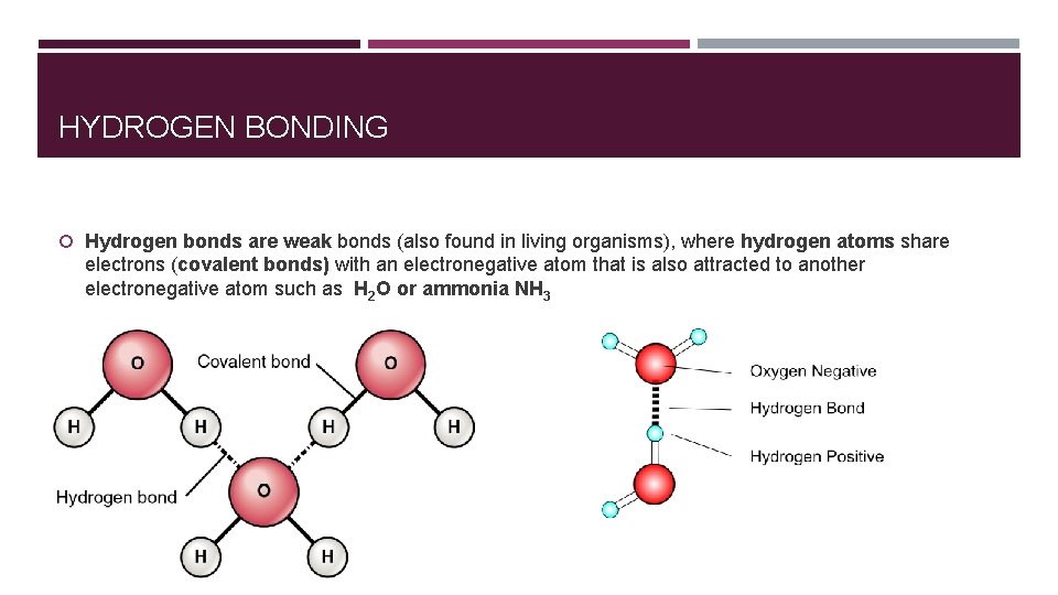 HYDROGEN BONDING Hydrogen bonds are weak bonds (also found in living organisms), where hydrogen