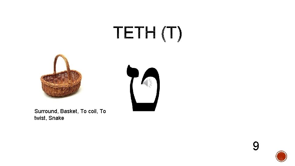 Surround, Basket, To coil, To twist, Snake 9 