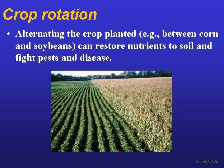 Crop rotation • Alternating the crop planted (e. g. , between corn and soybeans)