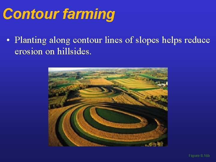 Contour farming • Planting along contour lines of slopes helps reduce erosion on hillsides.