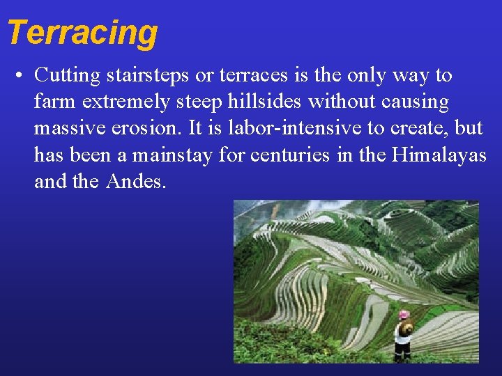Terracing • Cutting stairsteps or terraces is the only way to farm extremely steep