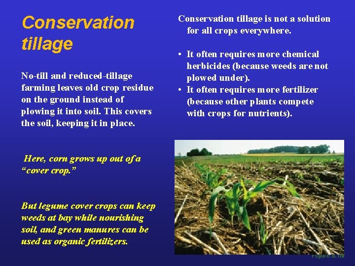 Conservation tillage No-till and reduced-tillage farming leaves old crop residue on the ground instead