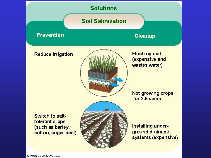 Solutions Soil Salinization Prevention Reduce irrigation Cleanup Flushing soil (expensive and wastes water) Not