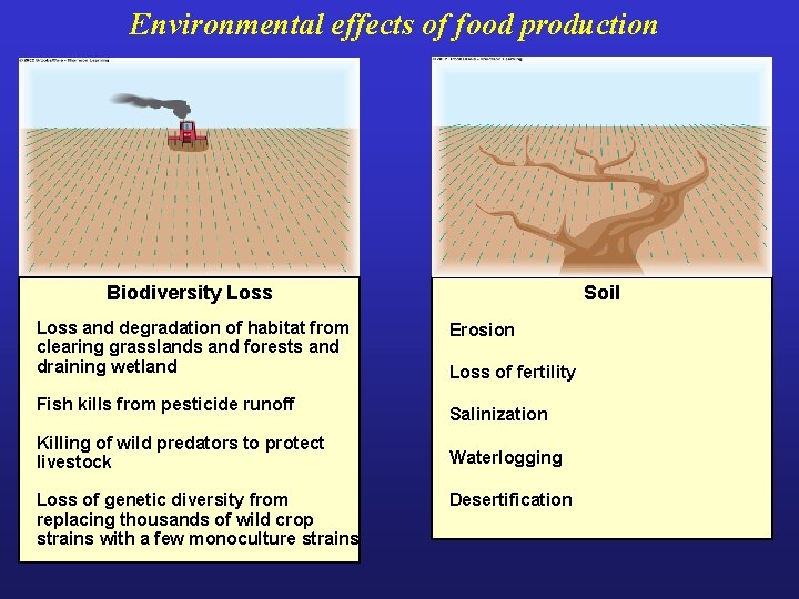 Environmental effects of food production Biodiversity Loss and degradation of habitat from clearing grasslands