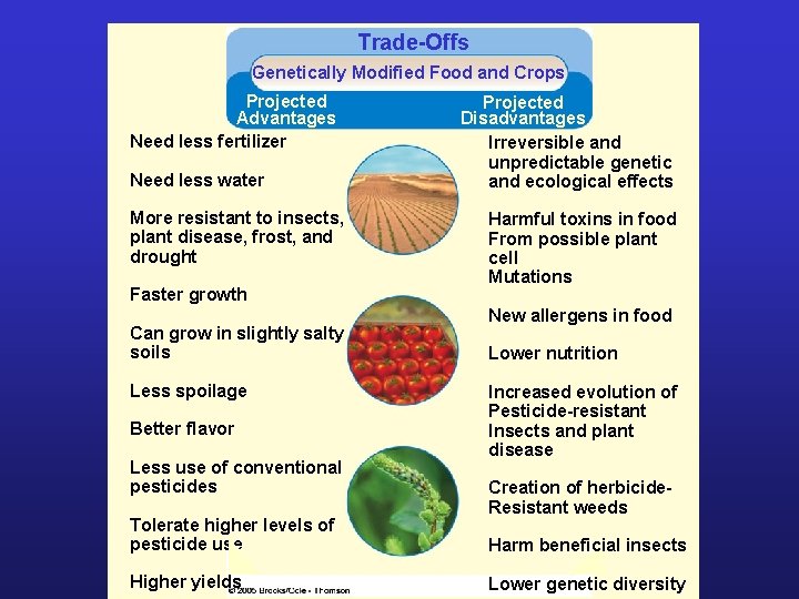 Trade-Offs Genetically Modified Food and Crops Projected Advantages Need less fertilizer Need less water