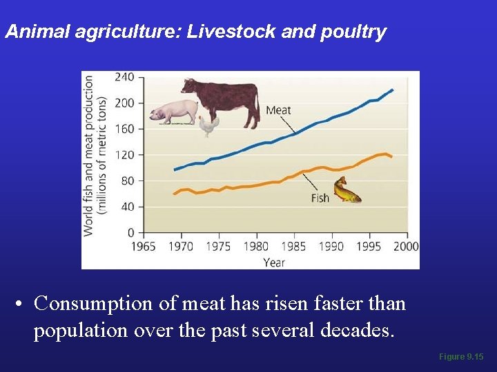 Animal agriculture: Livestock and poultry • Consumption of meat has risen faster than population