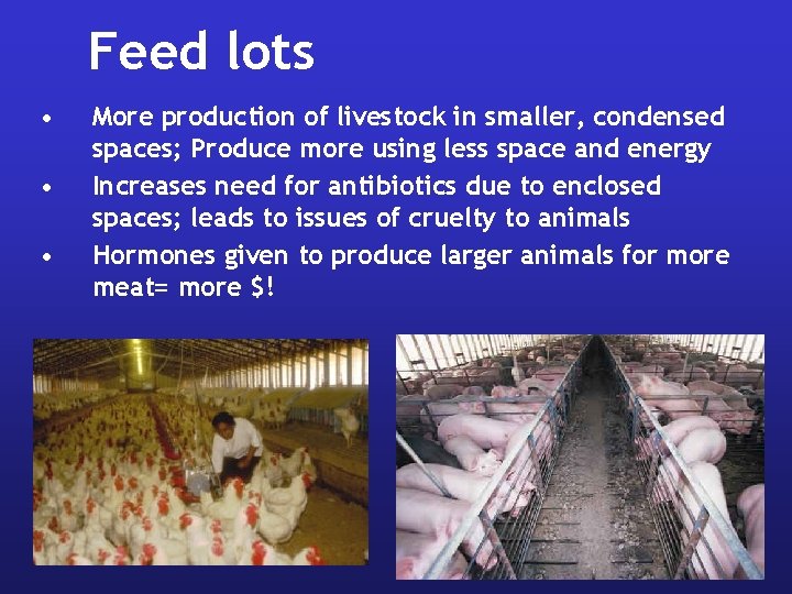 Feed lots • • • More production of livestock in smaller, condensed spaces; Produce