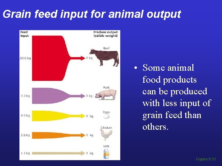 Grain feed input for animal output • Some animal food products can be produced