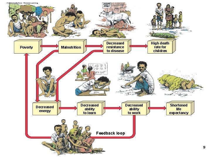 Poverty Decreased resistance to disease Malnutrition Decreased energy Decreased ability to learn High death