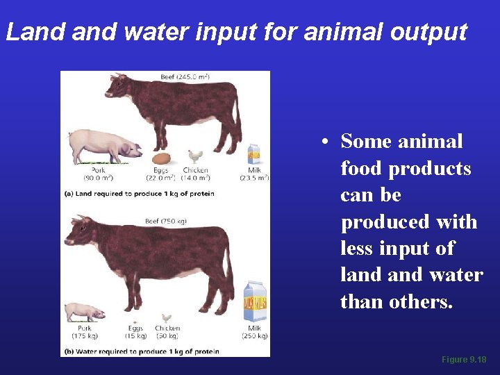 Land water input for animal output • Some animal food products can be produced