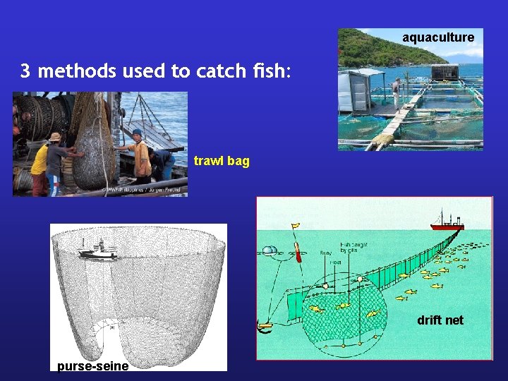 aquaculture 3 methods used to catch fish: trawl bag drift net purse-seine 