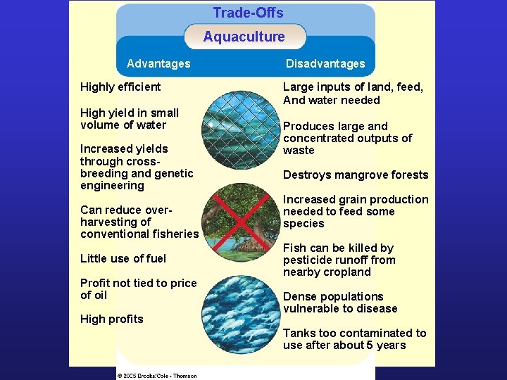 Trade-Offs Aquaculture Advantages Highly efficient High yield in small volume of water Increased yields