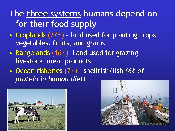 The three systems humans depend on for their food supply • Croplands (77%) –