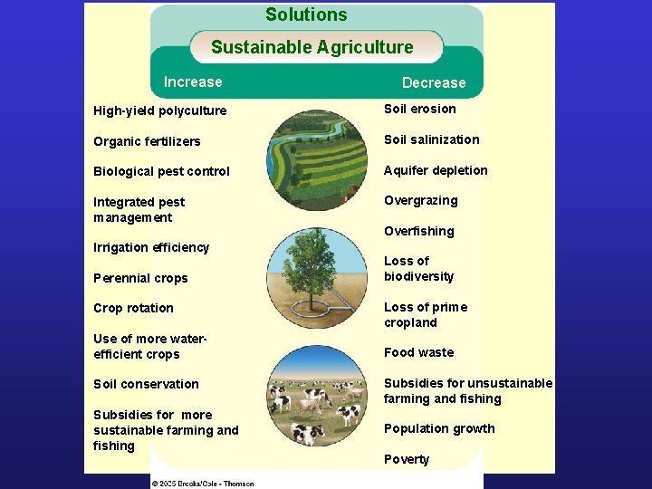 Solutions Sustainable Agriculture Increase Decrease High-yield polyculture Soil erosion Organic fertilizers Soil salinization Biological