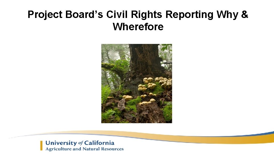 Project Board’s Civil Rights Reporting Why & Wherefore 