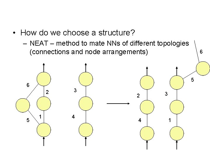  • How do we choose a structure? – NEAT – method to mate