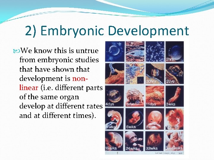 2) Embryonic Development We know this is untrue from embryonic studies that have shown