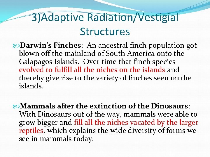 3)Adaptive Radiation/Vestigial Structures Darwin’s Finches: An ancestral finch population got blown off the mainland